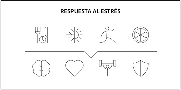 cómo combatir el estrés oxidativo